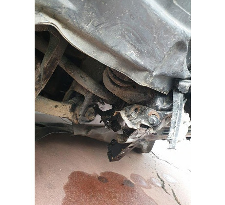 렉스턴스포츠 칸