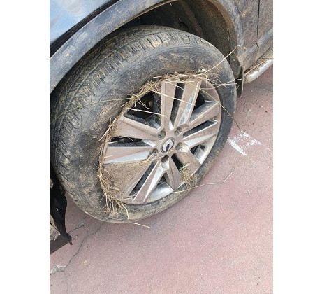 렉스턴스포츠 칸