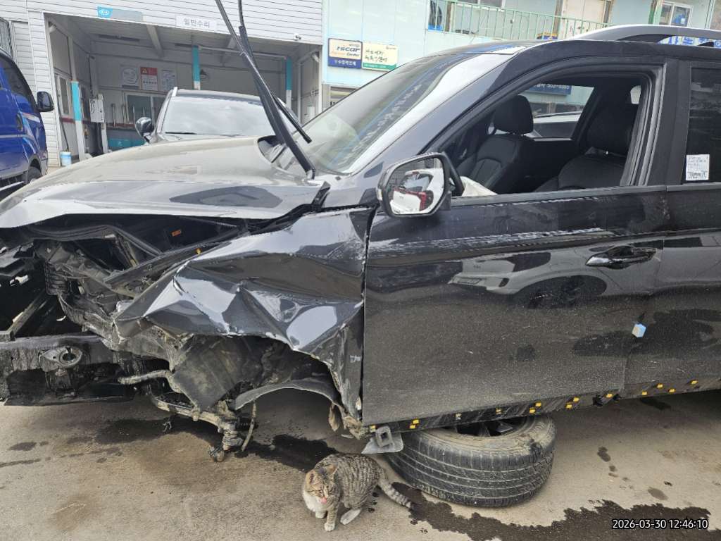 렉스턴스포츠 칸