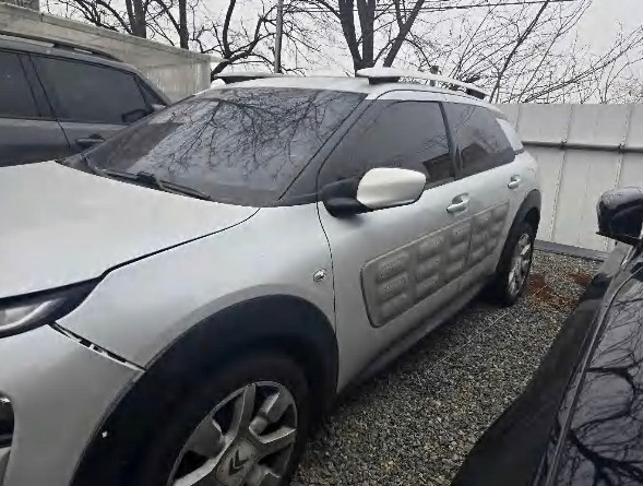 C4 Cactus 1.6 BlueHDi (법인) 