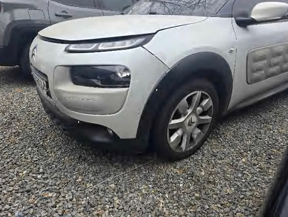 C4 Cactus 1.6 BlueHDi (법인) 
