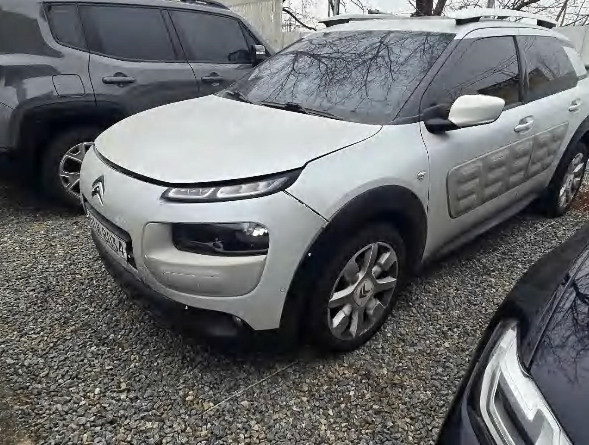 C4 Cactus 1.6 BlueHDi (법인) 