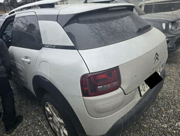 C4 Cactus 1.6 BlueHDi (법인) 