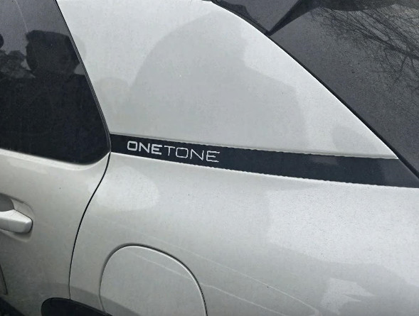 C4 Cactus 1.6 BlueHDi (법인) 