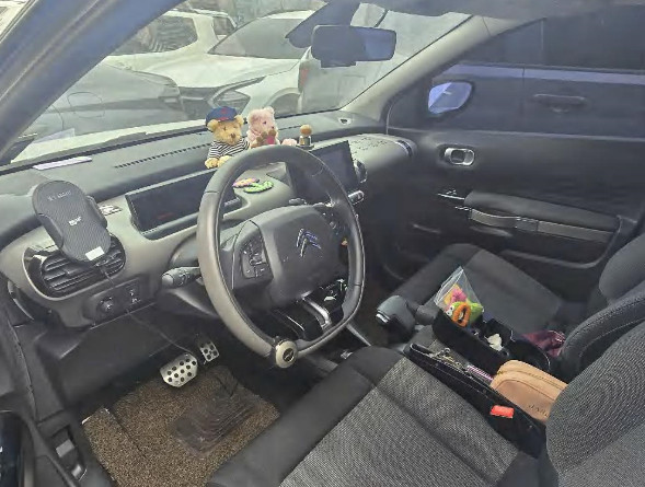 C4 Cactus 1.6 BlueHDi (법인) 