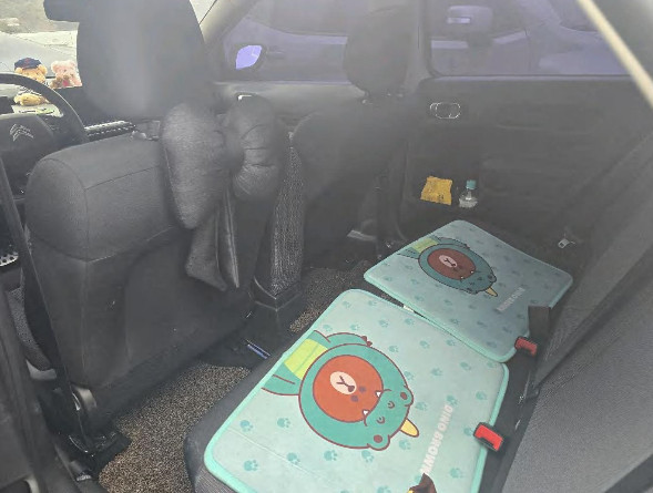 C4 Cactus 1.6 BlueHDi (법인) 