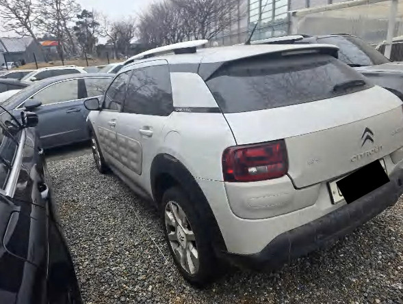 C4 Cactus 1.6 BlueHDi (법인) 