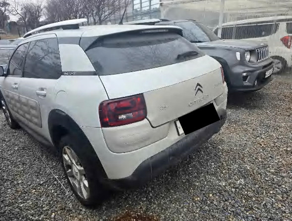 C4 Cactus 1.6 BlueHDi (법인) 