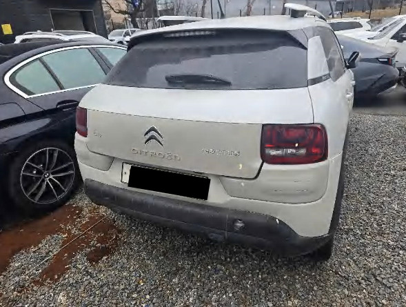 C4 Cactus 1.6 BlueHDi (법인) 