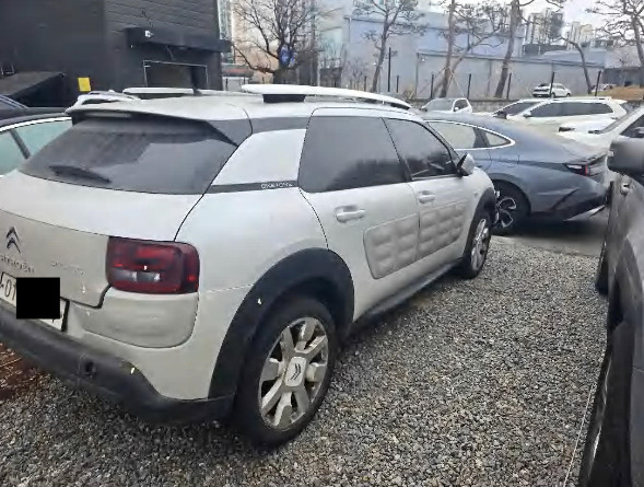 C4 Cactus 1.6 BlueHDi (법인) 