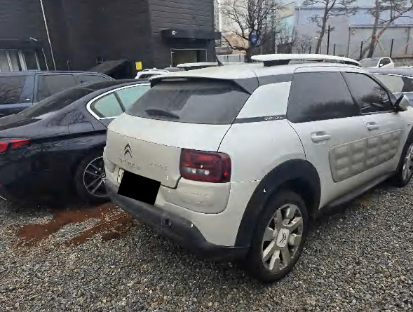 C4 Cactus 1.6 BlueHDi (법인) 