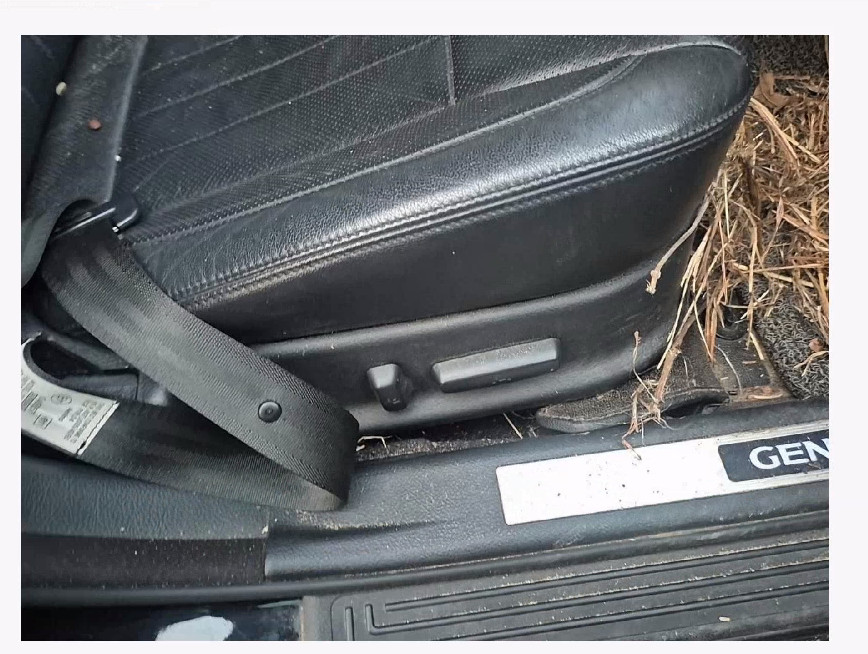 제네시스(GENESIS)