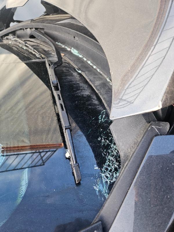 니로 하이브리드