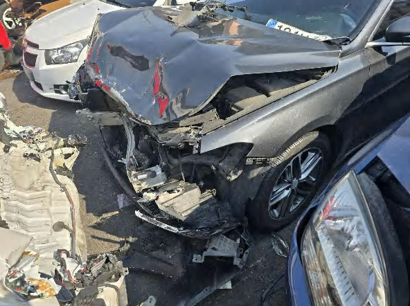 그랜저(LPG) (법인) 