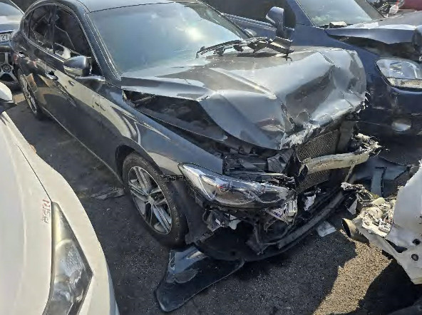 그랜저(LPG) (법인) 