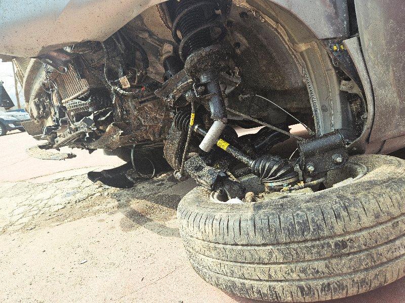 스타리아 (STARIA)