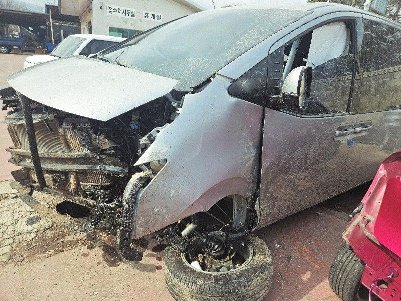 스타리아 (STARIA)