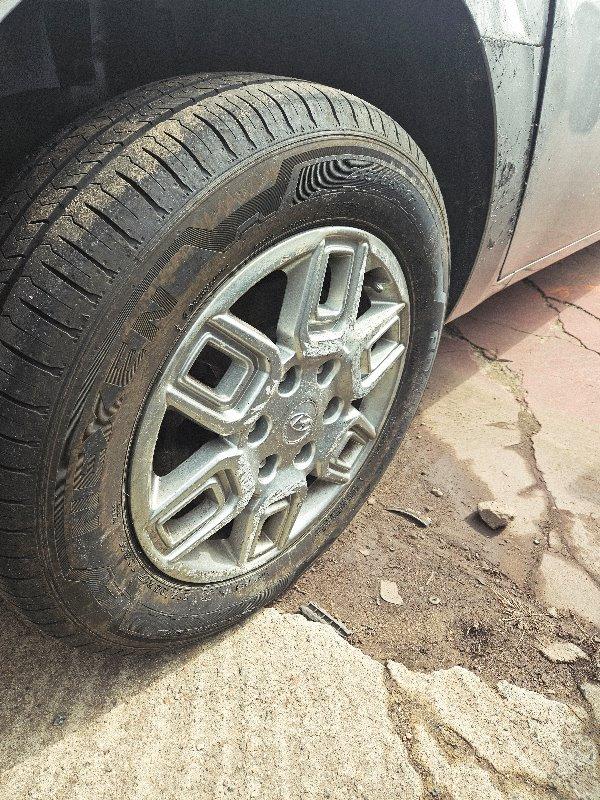 스타리아 (STARIA)