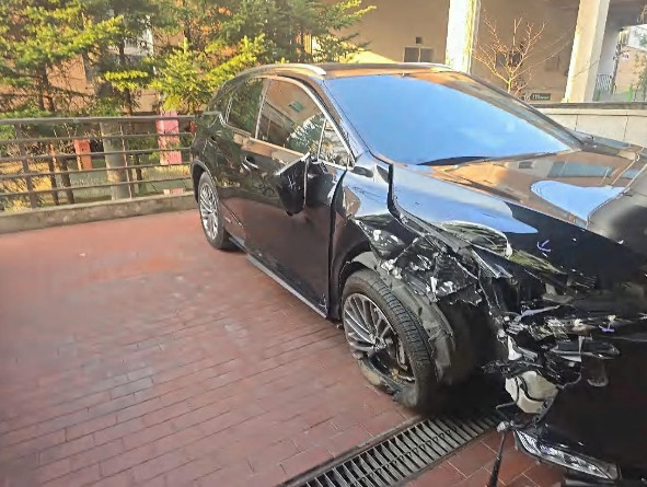 렉서스 RX450h (법인) 