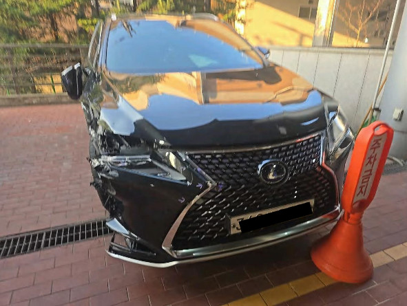 렉서스 RX450h (법인) 