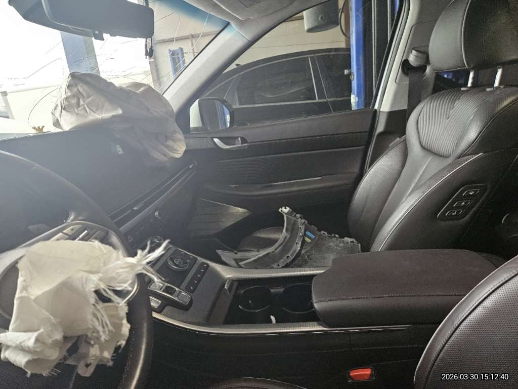 팰리세이드(PALISADE)