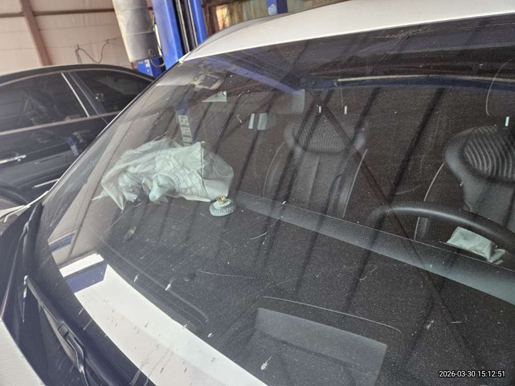 팰리세이드(PALISADE)