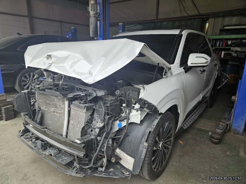 팰리세이드(PALISADE)