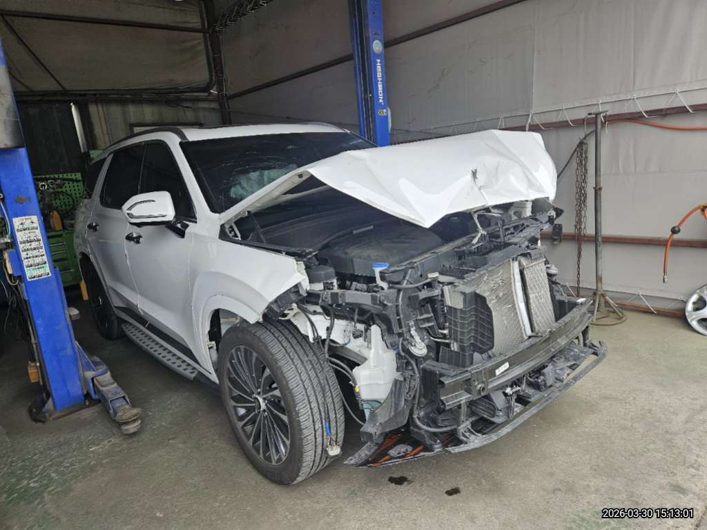 팰리세이드(PALISADE)