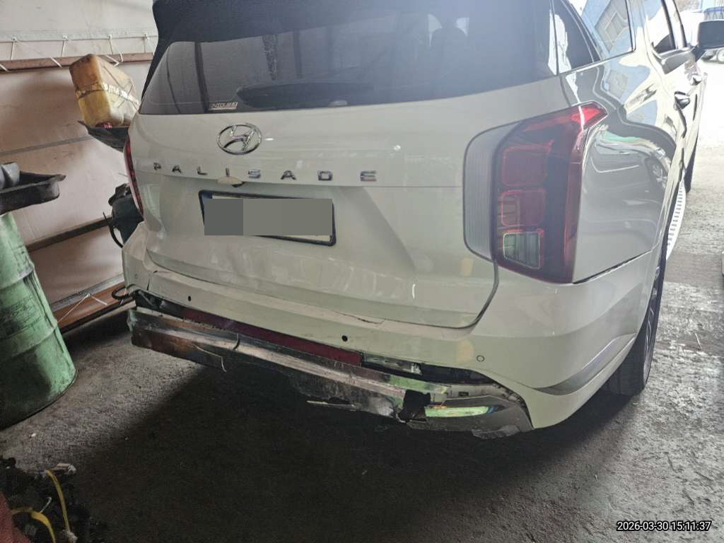 팰리세이드(PALISADE)