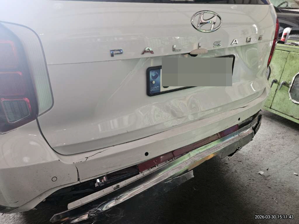 팰리세이드(PALISADE)