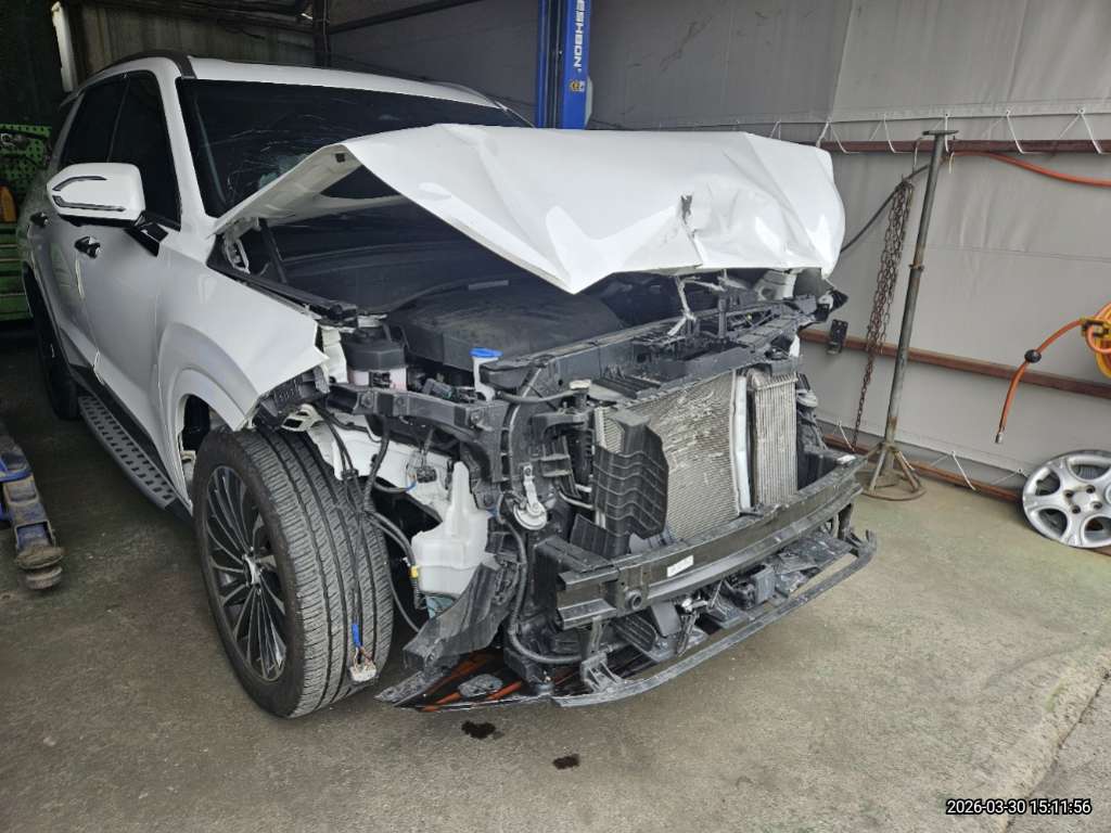 팰리세이드(PALISADE)