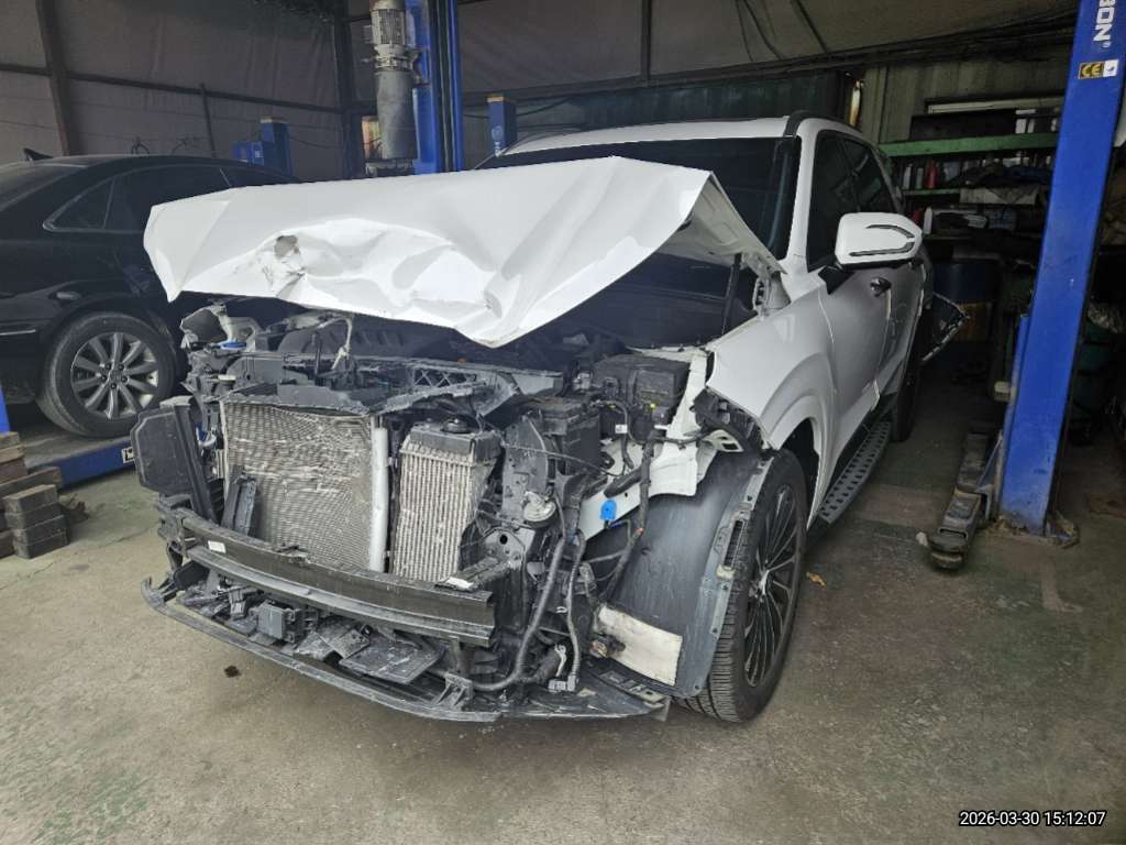 팰리세이드(PALISADE)