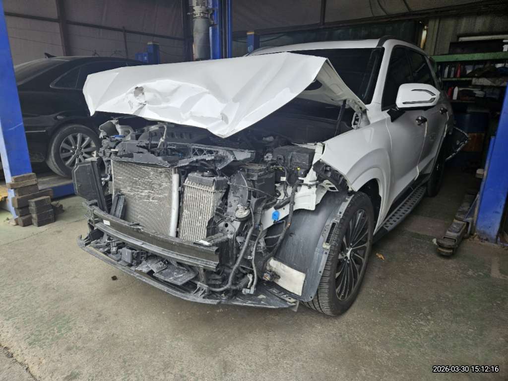 팰리세이드(PALISADE)