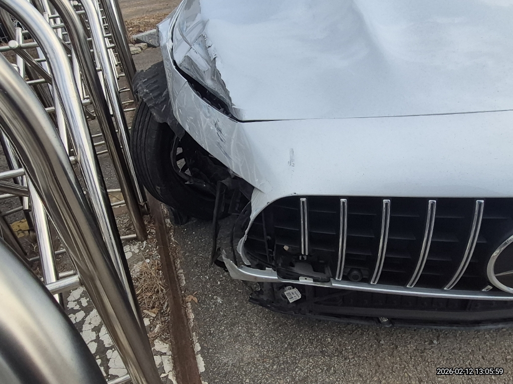 Mercedes-AMG GT43 4Matic + (사업자)