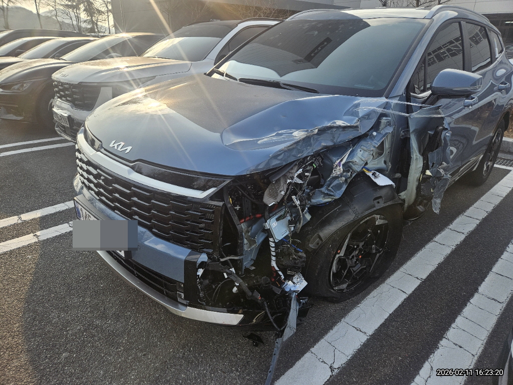 스포티지 하이브리드 (법인) 