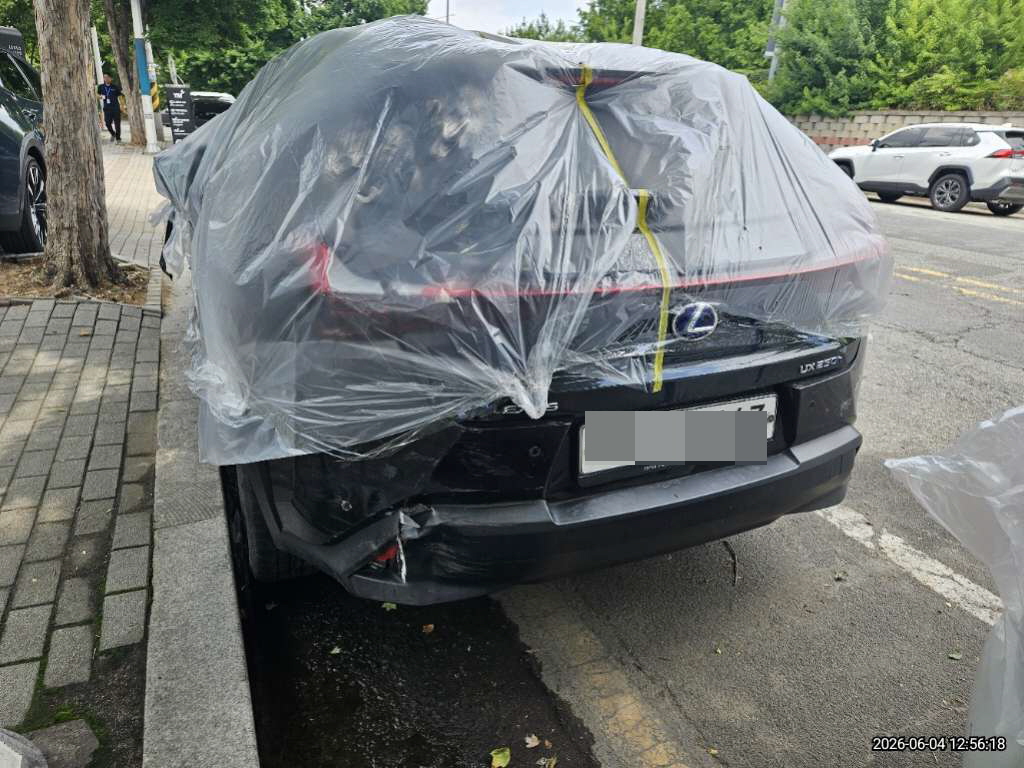 렉서스 UX250h 2WD