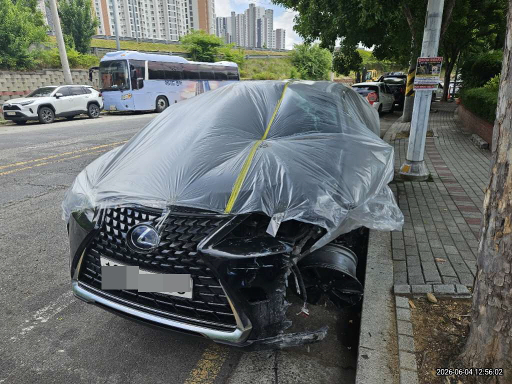렉서스 UX250h 2WD