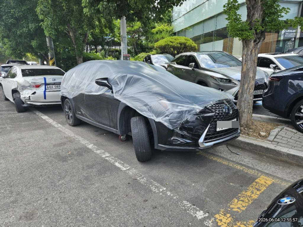 렉서스 UX250h 2WD