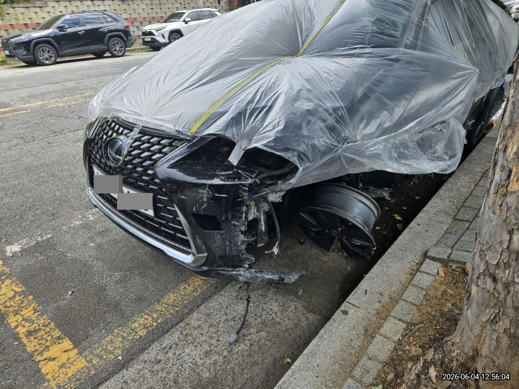 렉서스 UX250h 2WD