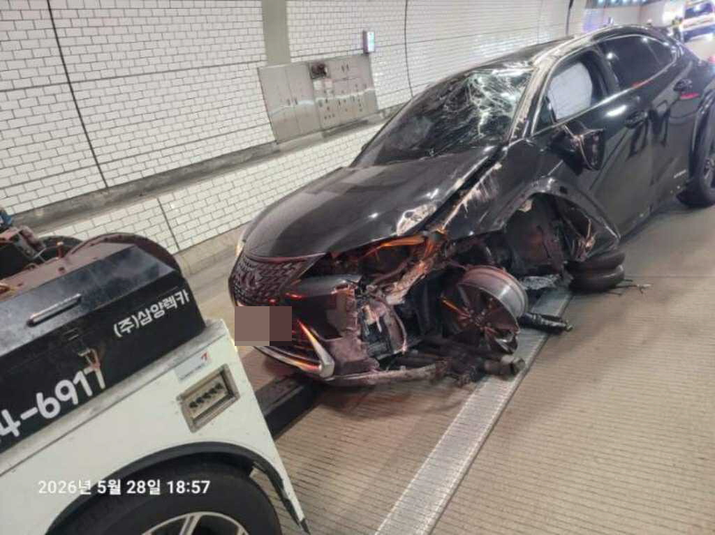 렉서스 UX250h 2WD