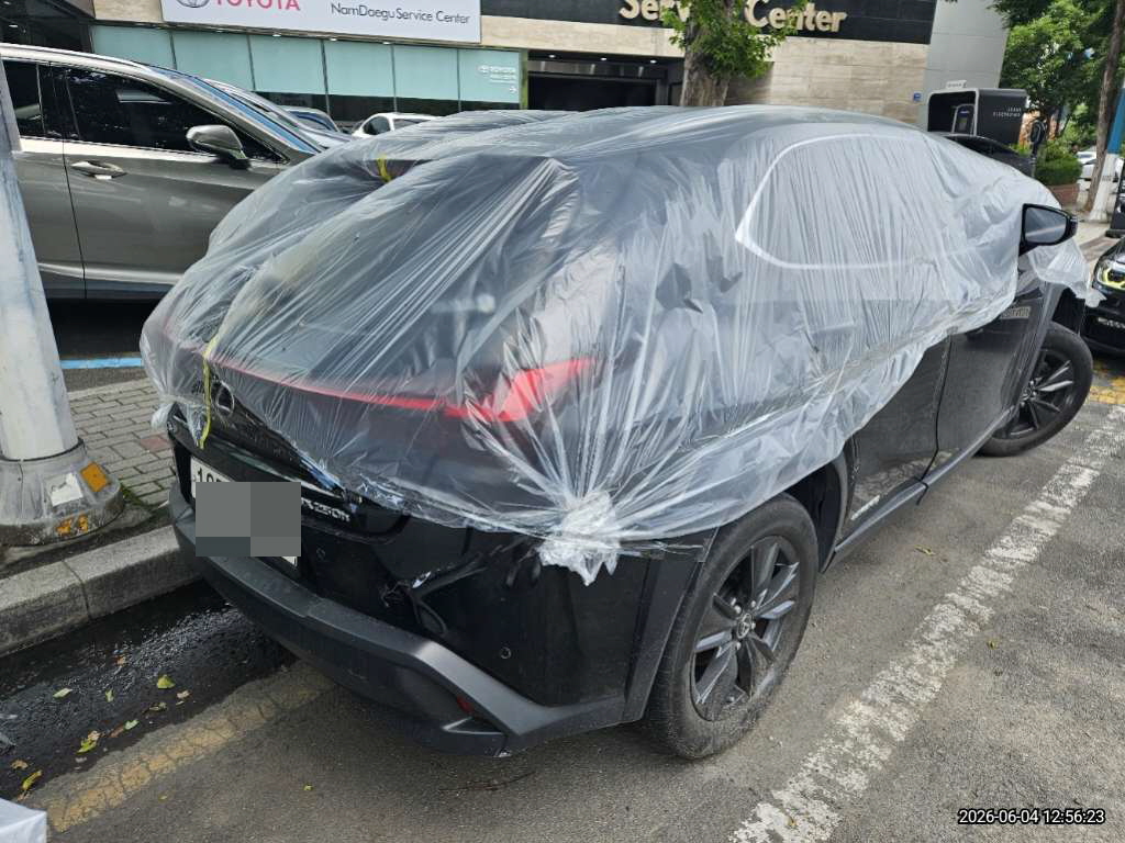 렉서스 UX250h 2WD