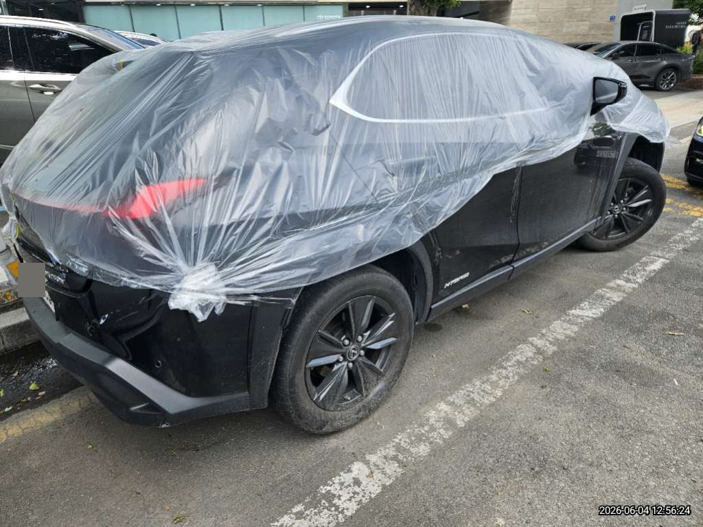 렉서스 UX250h 2WD