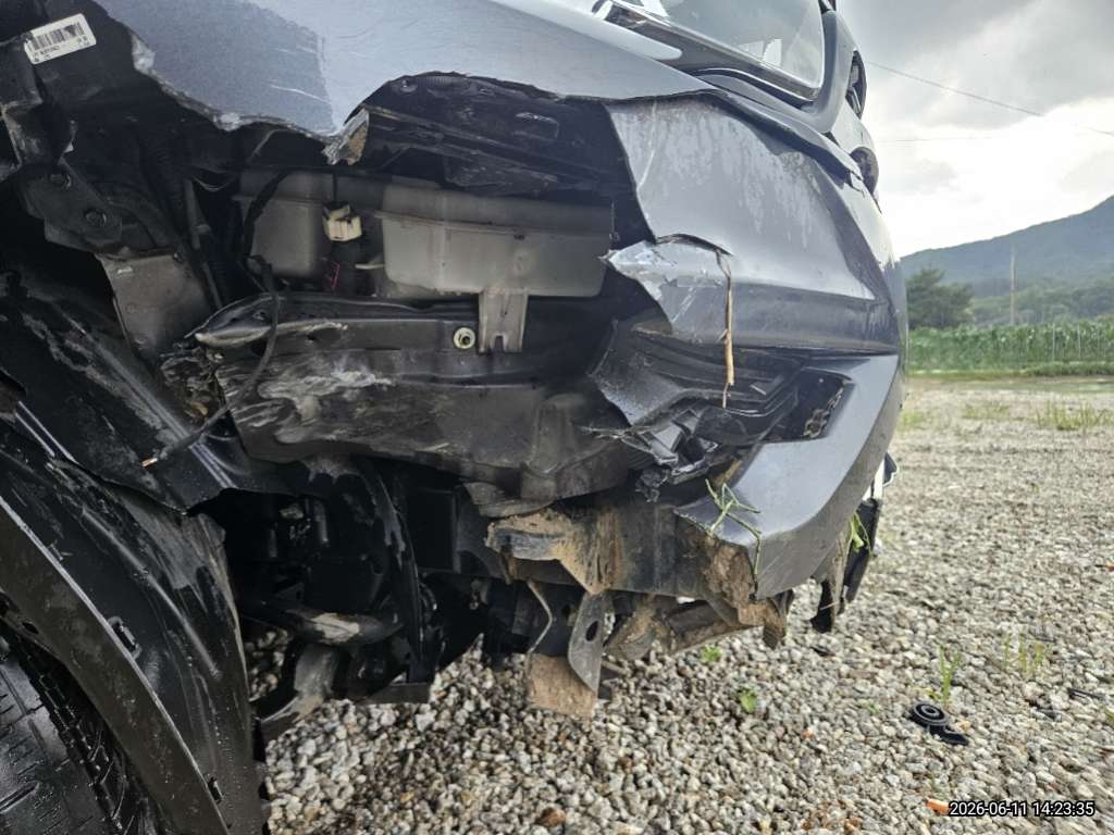 렉스턴스포츠