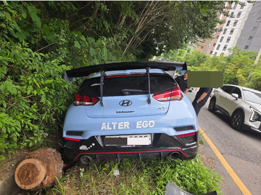 벨로스터 N(VELOSTER N)