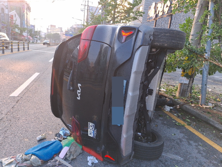 니로 플러스