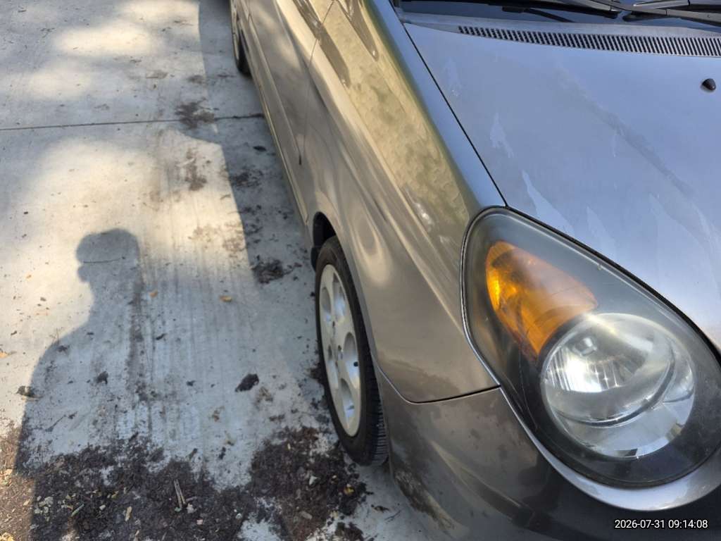 모닝