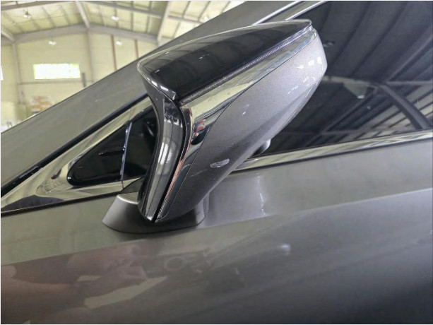 렉서스 ES300h(법인)