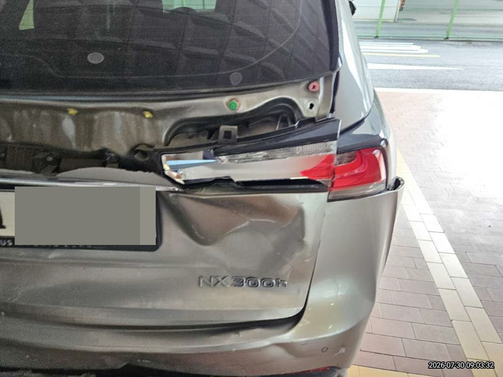 렉서스 NX300h