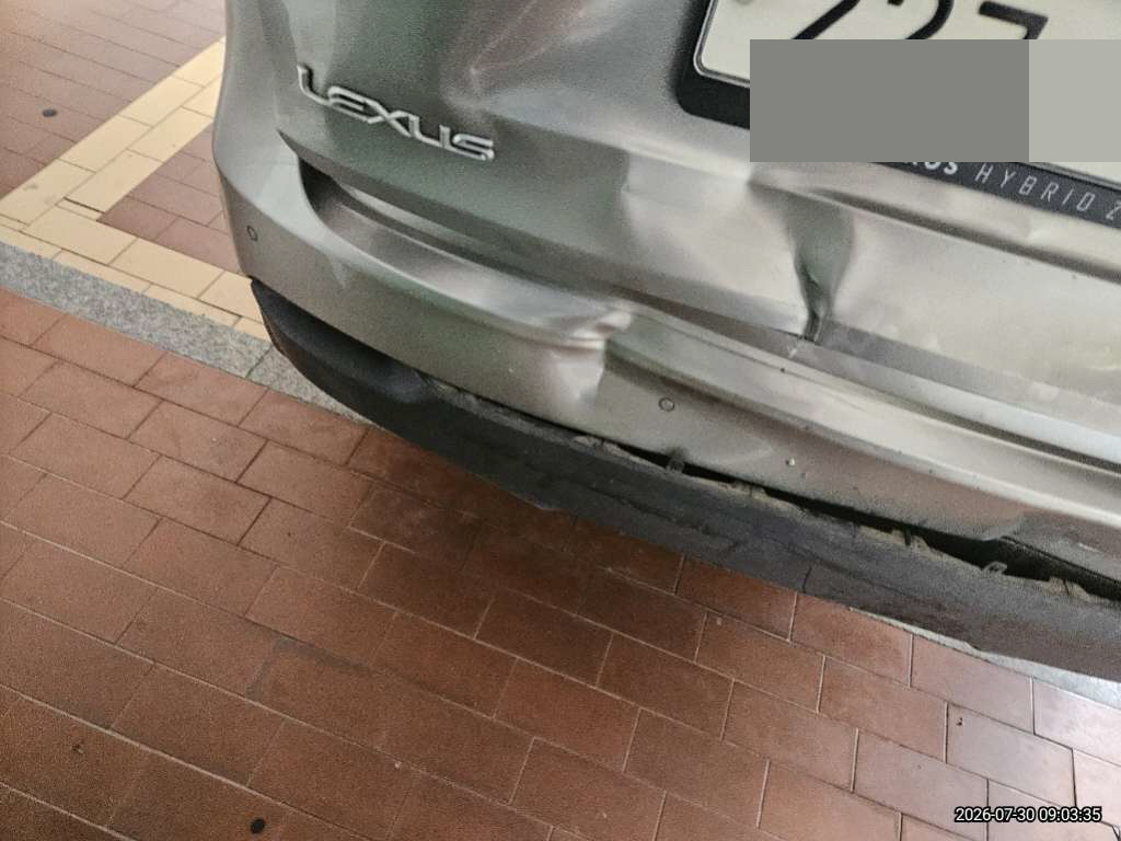 렉서스 NX300h