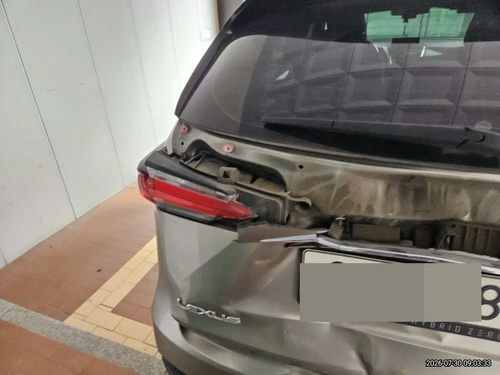 렉서스 NX300h